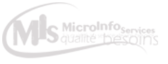 MicroInfoServices